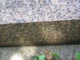 image of grave number 443641